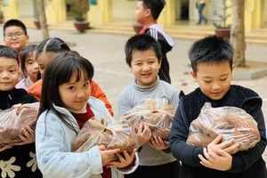 Giải cứu khoai lang cho đồng bào Gia Lai