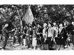 A picture containing text, outdoor, group, tree

Description automatically generated