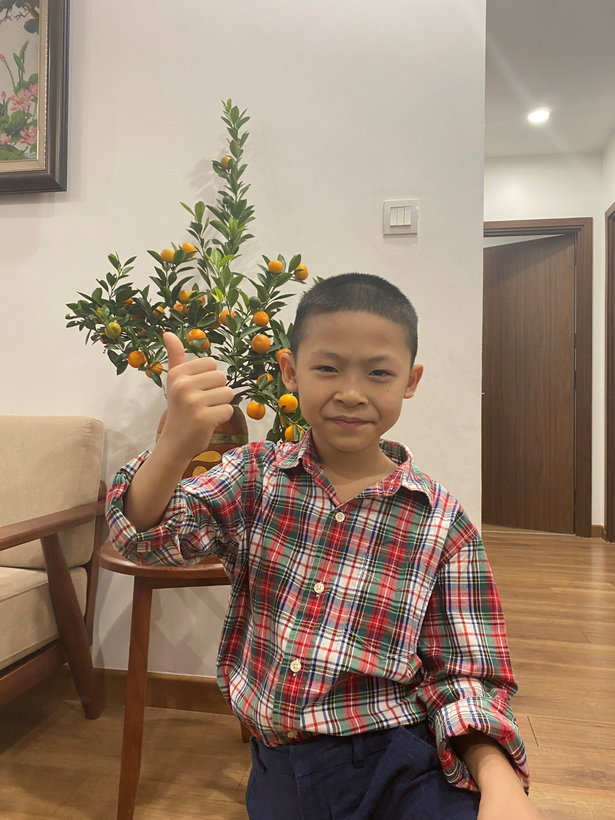 A child holding a small tree

Description automatically generated with low confidence