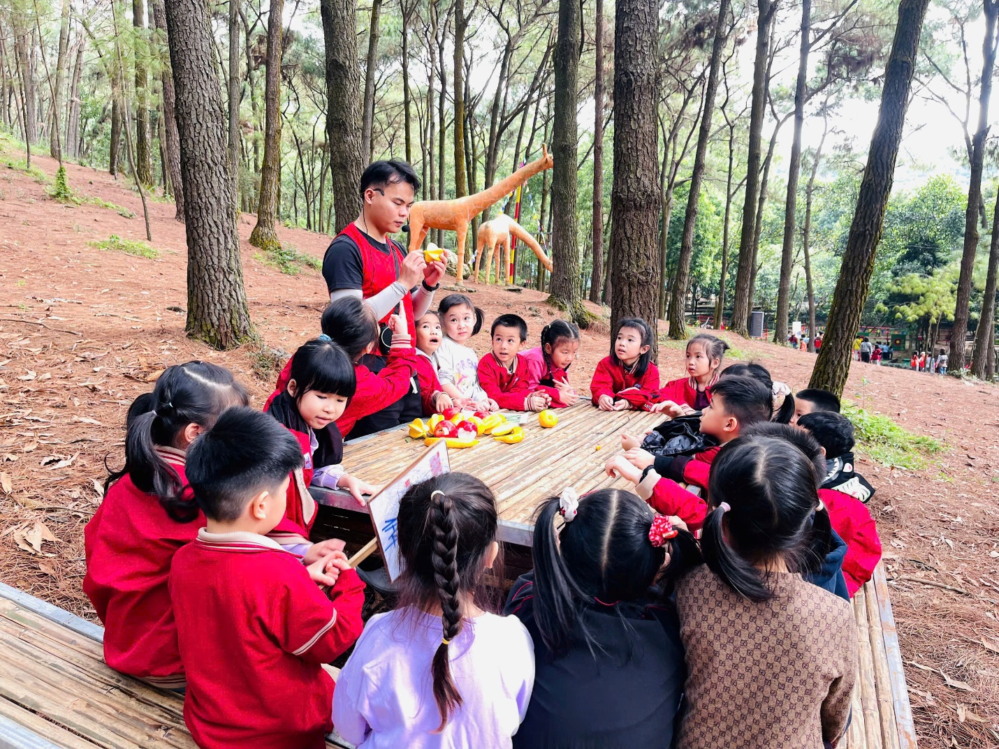 A group of children sitting around a table in the woods

AI-generated content may be incorrect.