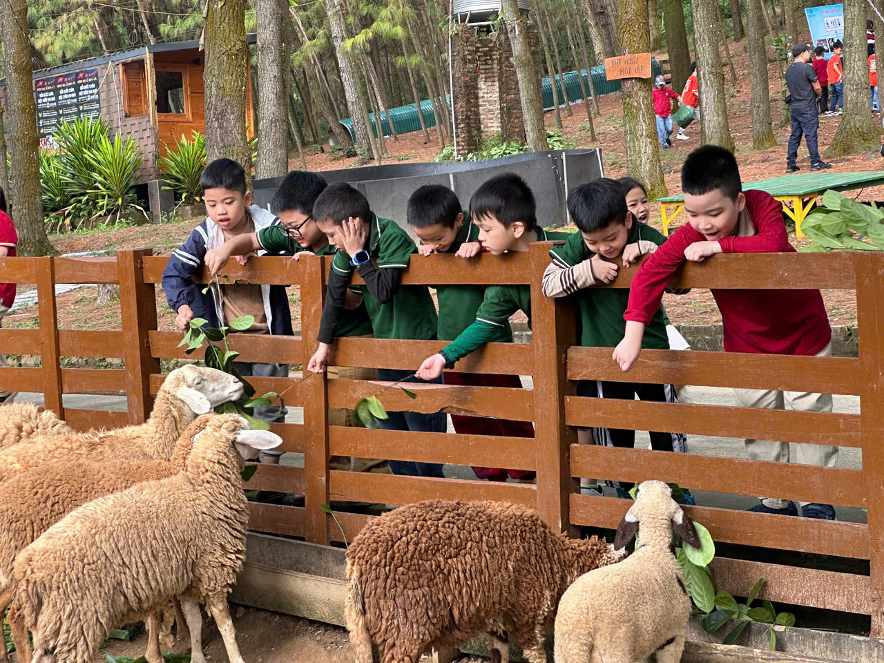A group of kids looking over a fence with sheep

AI-generated content may be incorrect.