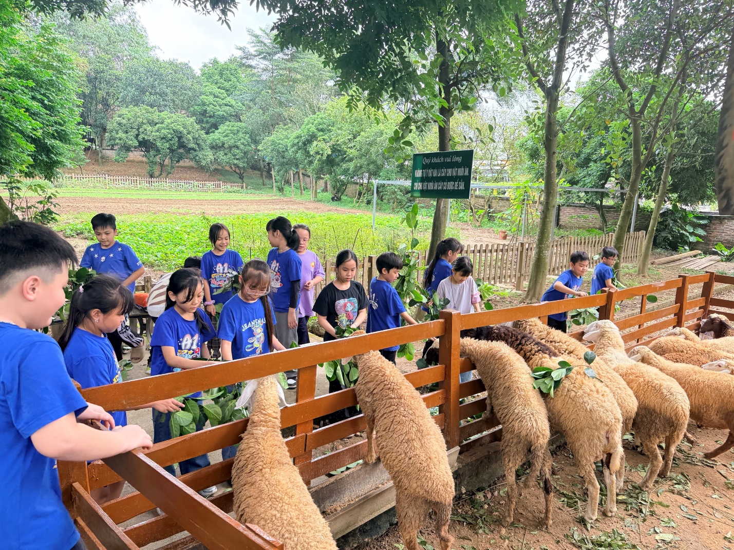 A group of children feeding sheep

AI-generated content may be incorrect.