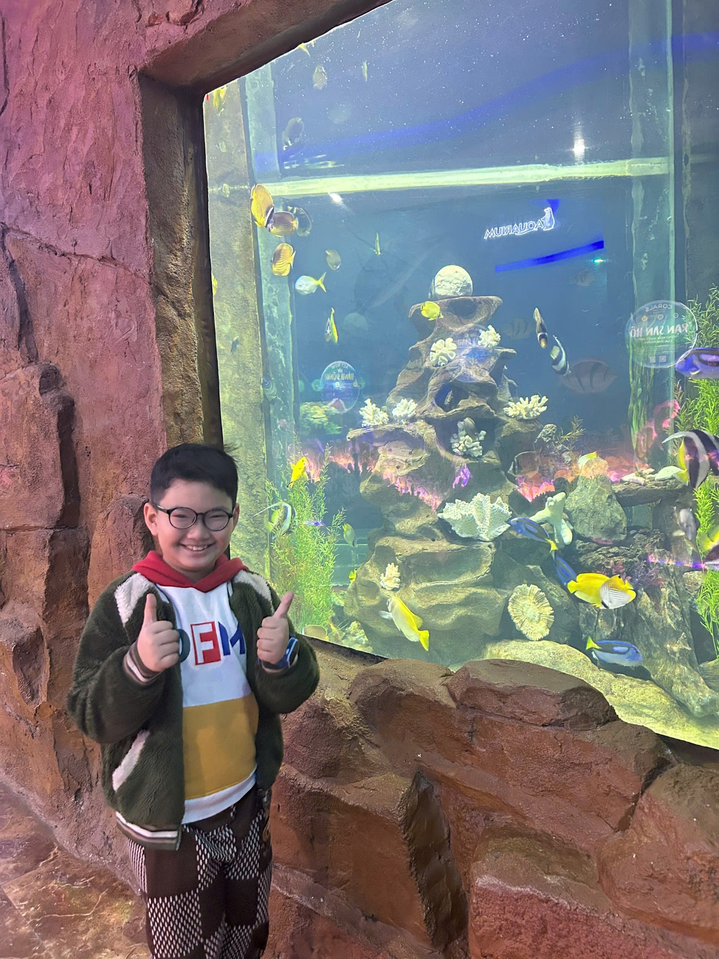 A child standing in front of a fish tank

AI-generated content may be incorrect.
