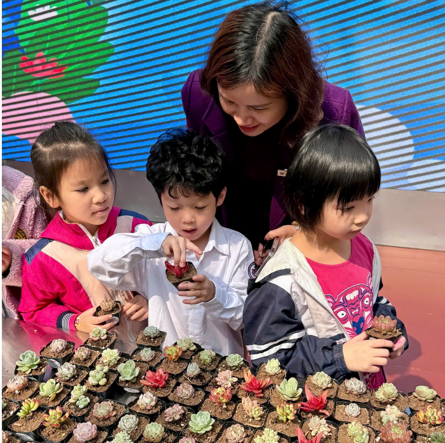 A group of children and a person looking at a plant

AI-generated content may be incorrect.