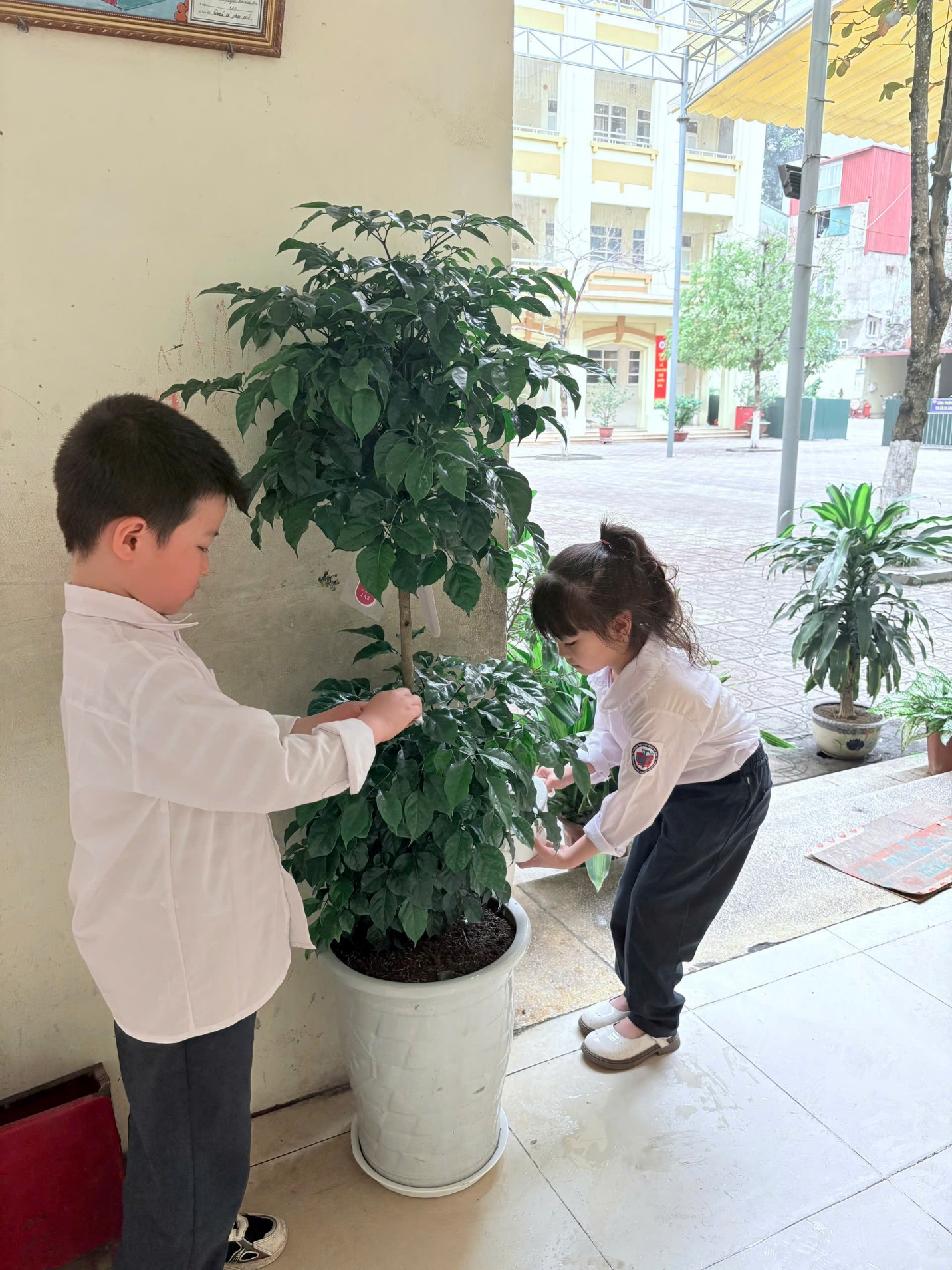 A child and child standing next to a plant
AI-generated content may be incorrect.